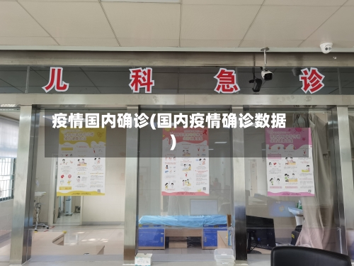 疫情国内确诊(国内疫情确诊数据)-第3张图片